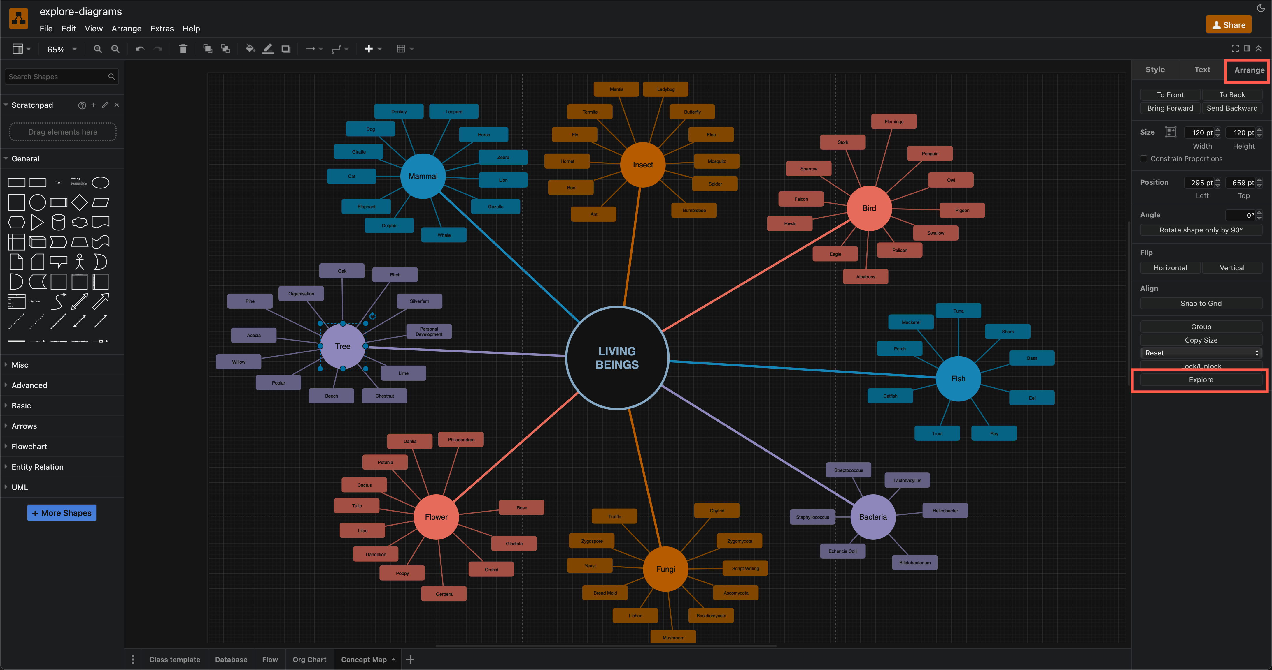 If a shape has a large number of connected shapes, these will be shown on multiple pages in the Explore viewer in draw.io